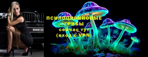 прущий лед Алзамай