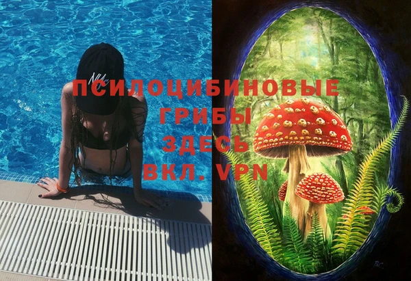прущий лед Алзамай