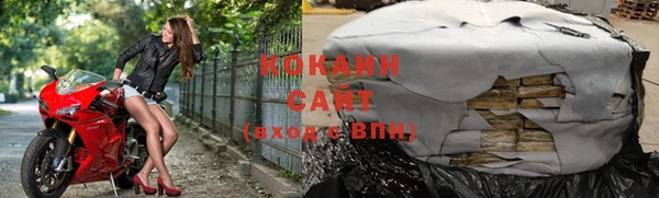 прущий лед Алзамай