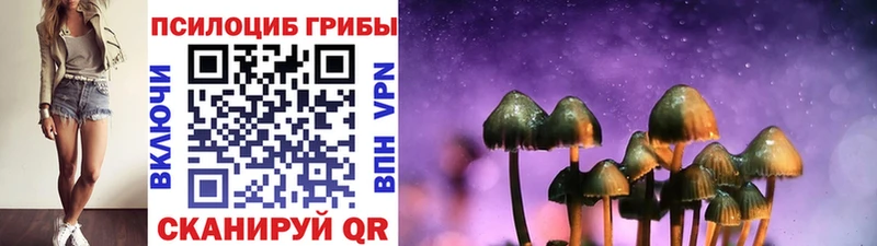 Псилоцибиновые грибы GOLDEN TEACHER  где найти   Звенигород 
